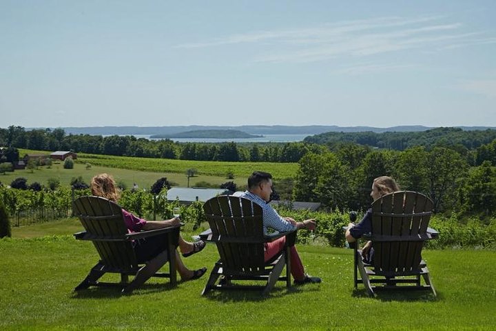 Wine Tours